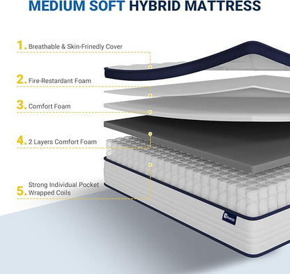 Avenco 14 Inch Queen Mattresses in a Box, Hybrid Queen Size Mattresses with Comfort Foam and Pocket Coils for Pressure Relief & Motion Isolation