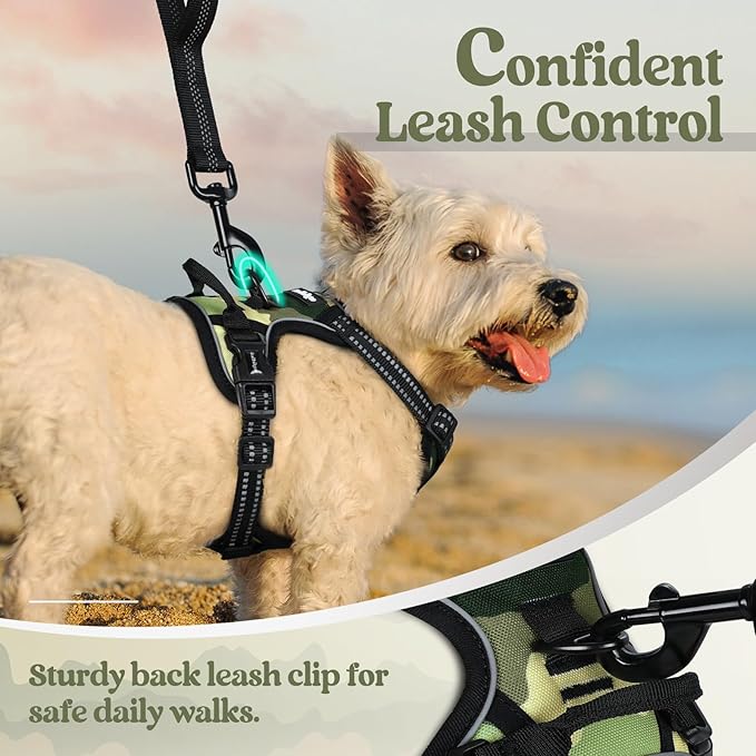 rabbitgoo Dog Harness No Pull with 2 Leash Clips, Adjustable Soft Padded, Reflective Oxford No Choke Pet Vest with Easy Control Handle for Large Dogs, Green Mountain,XS-Mewly Pet