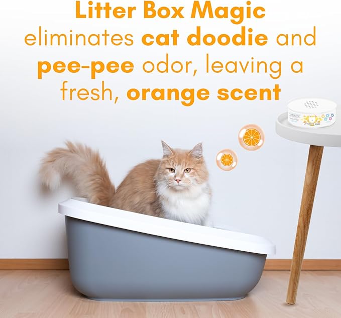 Cat Litter Deodorizer Jar (Orange Scent, 16 Oz, Pack of 1) - Cat Litter Odor Control Gel In A Jar - Cat Litter Box Pet Air Freshener - Litter Odor Eliminator to Freshen Air-Mewly Pet