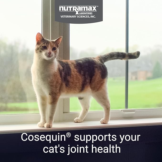 Nutramax Cosequin for Cats Joint Health Supplement, Contains Glucosamine for Cats, Plus Chondroitin and Omega-3s, Supports Joint and Skin and Coat Health, Soft Chews, 60 Count-Mewly Pet