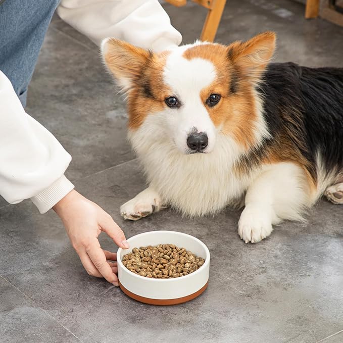 MALACASA Dog Bowls, Ceramic Dog Food and Water Bowls for Small Size Dogs, 1.5 Cups Capacity Pet Bowl for Puppy & Cats (S-1.5 Cups)-Mewly Pet