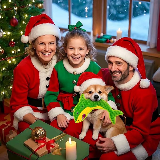 Squeaky Dog Toy No Stuffed Dog Toys,Green Shark Puppy Toys for Small Medium Large Breed pups Teething Interactive Toy to Keep Them Busy, Best Christmas Birthday Gift-Mewly Pet