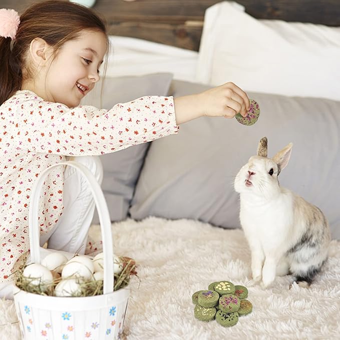 ERKOON Treats Rabbit Toys, 100% Edible Premium Timothy Hay Chew A Blocks for Rabbits, Chinchilla Treats, Chew Toys for Teeth Guinea Pigs and Mice-Mewly Pet
