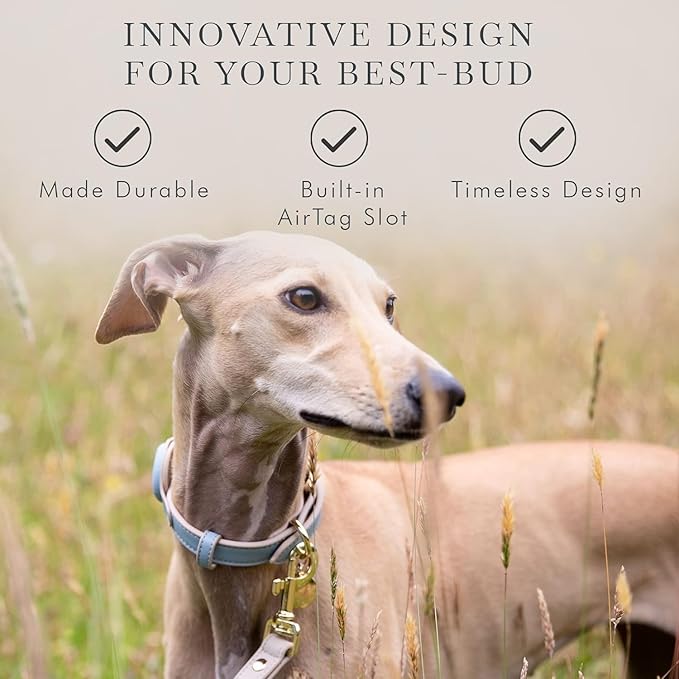 Cupertino Dog Collars, Harnesses & Leashes Made from Vegan Leather with Dog Tracker Device Holder Adjustable Dog Collar - Color Blue, Large-Mewly Pet