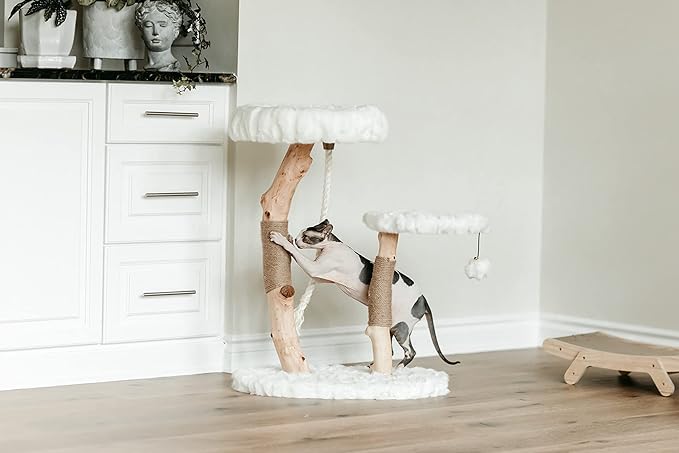 Mau Lifestyle Luxury Cat Tree: Modern Cat Condo & Luxury Wood Cat Tower; Natural Branch Scratching Tree & Cat Condo; Cat Gifts by Mau-Mewly Pet