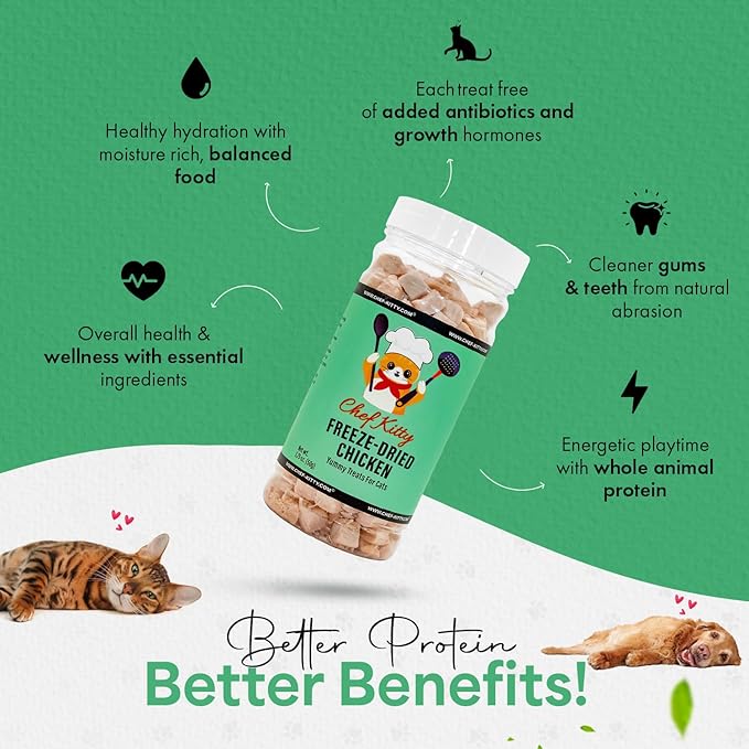Freeze-Dried Chicken Treats for Cats & Dogs – 100% Human Grade, Single Ingredient, High-Protein, Healthy Snack – No Additives or Preservatives – 1.7oz - Inspected & Tested in USA-Mewly Pet