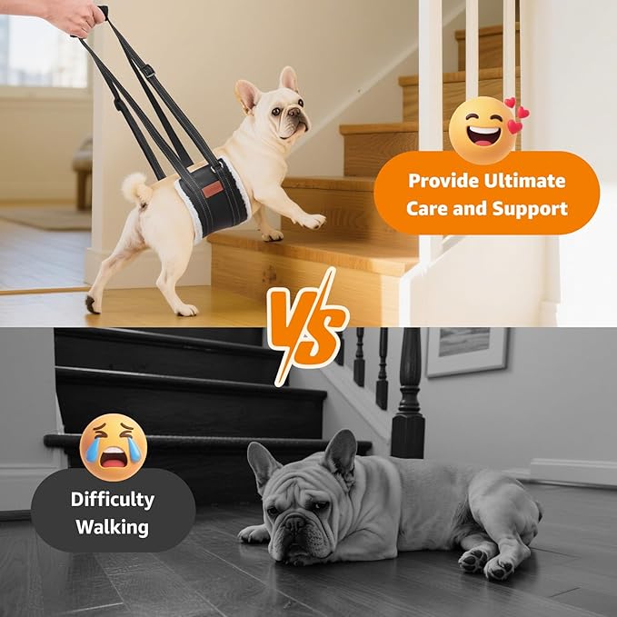 LOOBANI Portable Dog Sling for Back Legs, Hip Support Harness to Help Lift Dogs Rear for Canine Aid and Old K9 Cruciate Ligament Rehabilitation-Mewly Pet