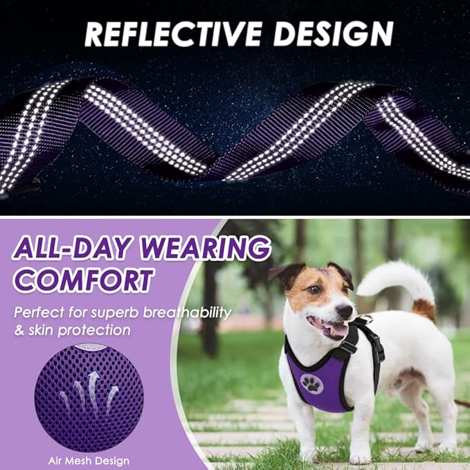 Lukovee Dog Safety Vest Harness with Seatbelt, Seat Belt Adjustable Pet Harnesses Double Breathable Mesh Fabric with Car Vehicle Connector Strap for Dog (Medium, Purple)-Mewly Pet