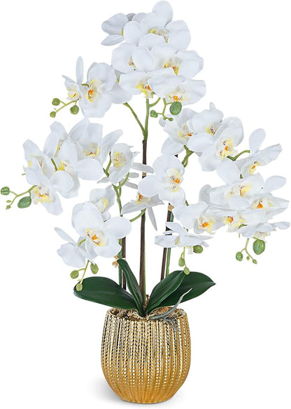 Ziwon Artificial Orchid Flowers & Plants Potted in Ceramic Pot, White Faux Phalaenopsis Orchids for Table Centerpiece, Realistic Fake Flower Arrangement for Home Office Decor Indoor