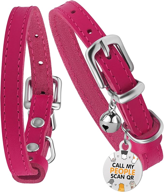 BRONZEDOG Leather Cat Collar with Removable Bells Non Breakaway Kitten QR Tag for Girl Boy (Pink & Silver, 9-12 inch)-Mewly Pet