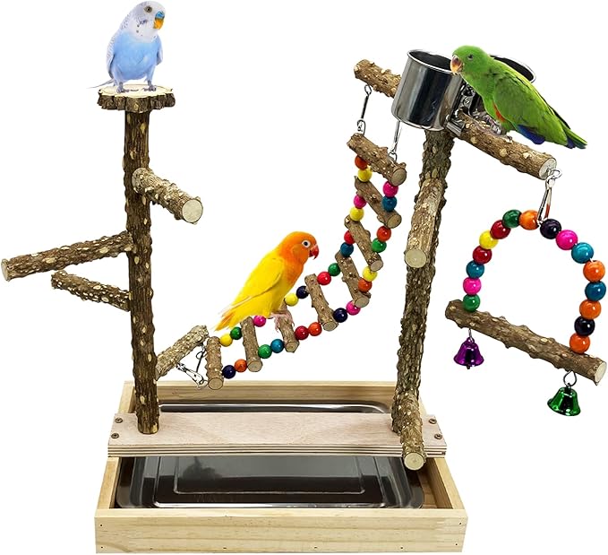 Tfwadmx Bird Playground Natural Wood Bird Play Stands Parrot Perch Stand with Removable Tray Climb Ladders Swing Chewing Toys for Lovebirds Cockatiels Budgies-Mewly Pet