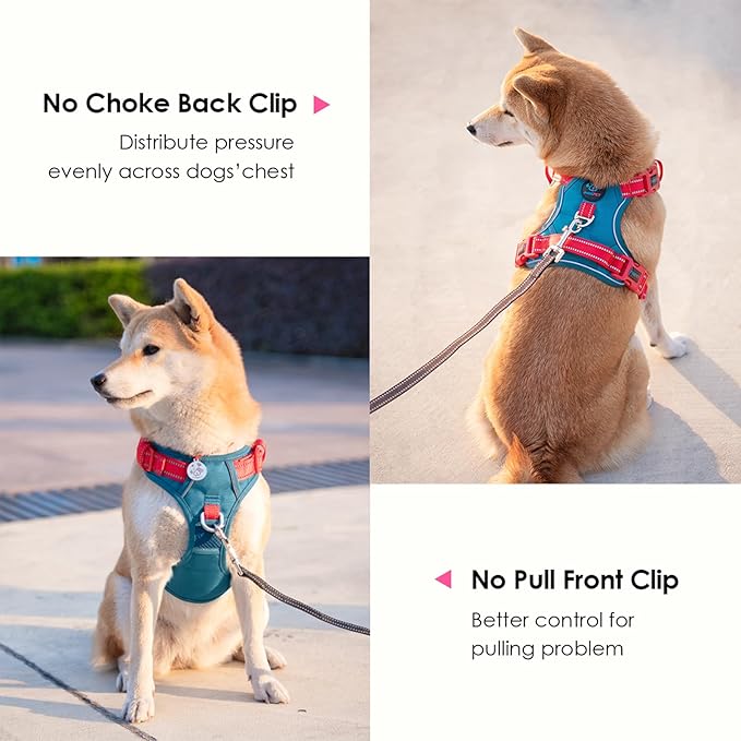 PHOEPET No Pull Dog Harness, Unique Colors Reflective Adjustable Dog Vest, with Soft Training Handle Metal Clips for Small Medium Large Dogs (Teal Base & Red Straps,XL)-Mewly Pet