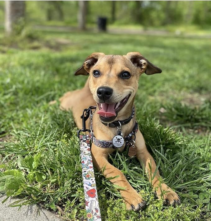 LYP Original Soundless Pet ID Tags | Custom Dog Tags Personalized for Pets | Durable Silicone Deep Engraved Dog Tag | No More Jingling | Skull & Crossbones-Mewly Pet