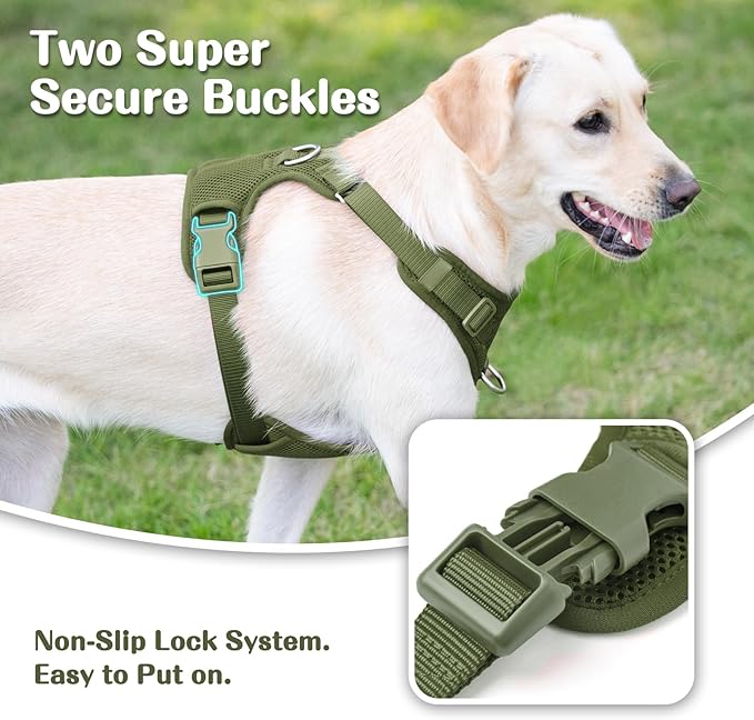 No Pull Dog Harness for Small Medium Large Dogs - Adjustable Two-Layer Mesh Dog Vest with Dual Clip, Escape Proof, Quick Release, Lightweight Breathable Mesh for Walking Hiking (Misty Green,L)-Mewly Pet