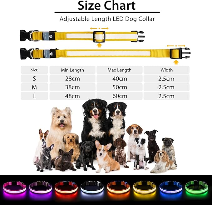PcEoTllar Light up Dog Collar for Night Walking - LED Dog Collar Light Rechargeable Color Changing, Glow in The Dark Dog Collars Waterproof Glowing Dog Collars for Large Small Medium Dogs-Mewly Pet
