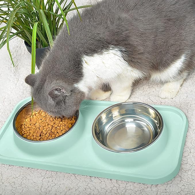 Cat Food Bowls, Cat Bowls Non-Skid and Non-Spill Silicone Pads with PP Stand, Removable Stainless Steel Food and Water Dishes for Cats, Small Size Dogs-Mewly Pet