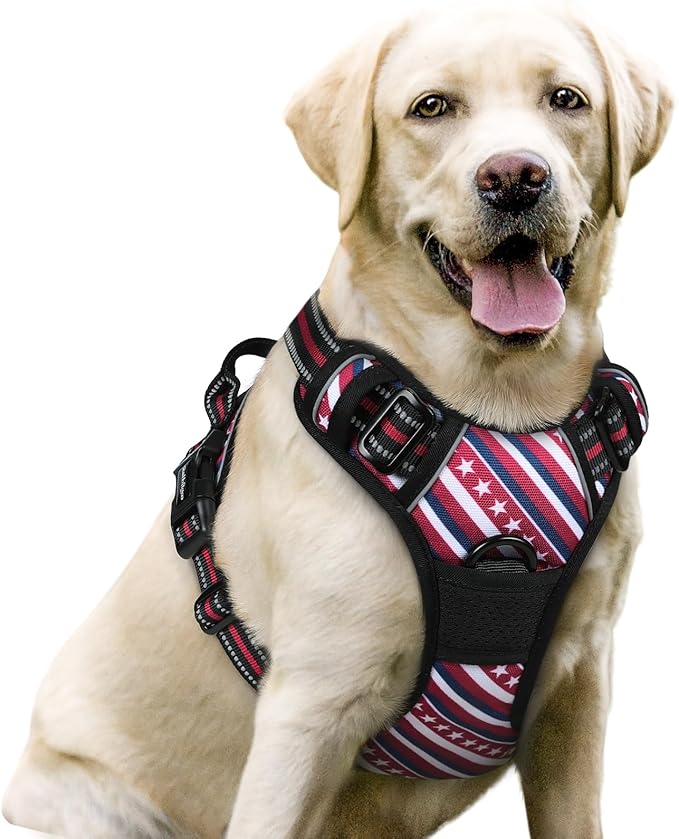rabbitgoo Dog Harness No Pull with 2 Leash Clips, Adjustable Soft Padded, Reflective Oxford No Choke Pet Vest with Easy Control Handle for Large Dogs, Red Stripe, L-Mewly Pet