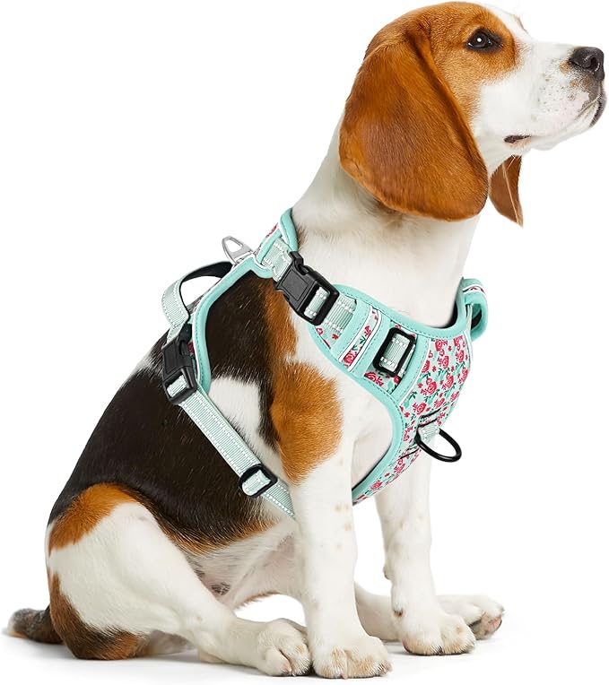 Timos No Pull Dog Harness, Release at Neck Reflective 3 Snap Buckles Adjustable No Choke Pet Vest with Front & Back 2 Leash Clips, Soft Padded Control Training Handle for Small Medium Large Dogs-Mewly Pet