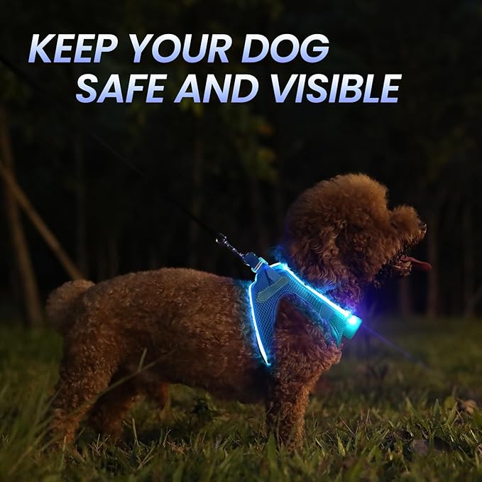 PceoTllar Light Up Dog Harness, LED No Pull Reflective Dog Harness, Flashing Lighted for Night Walking - Small/Medium, (Blue XS)-Mewly Pet