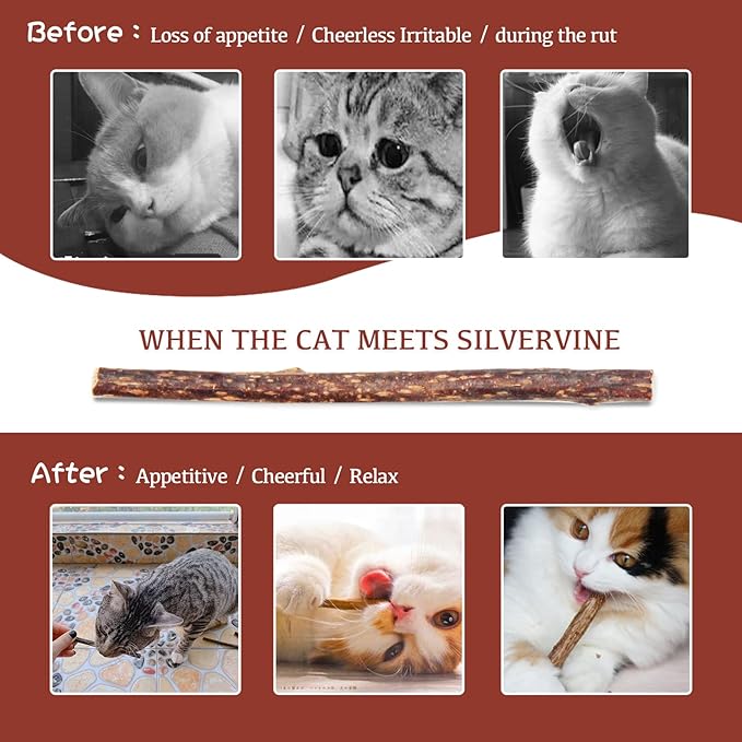 Silvervine Sticks for Cats, 30PCS Kitten Toys Catnip Toys Matatabi Silvervine Sticks Kitty Chew Toys Wooden Stick Kitten Teething Toys Molar Suitable for Cats of All Ages-Mewly Pet