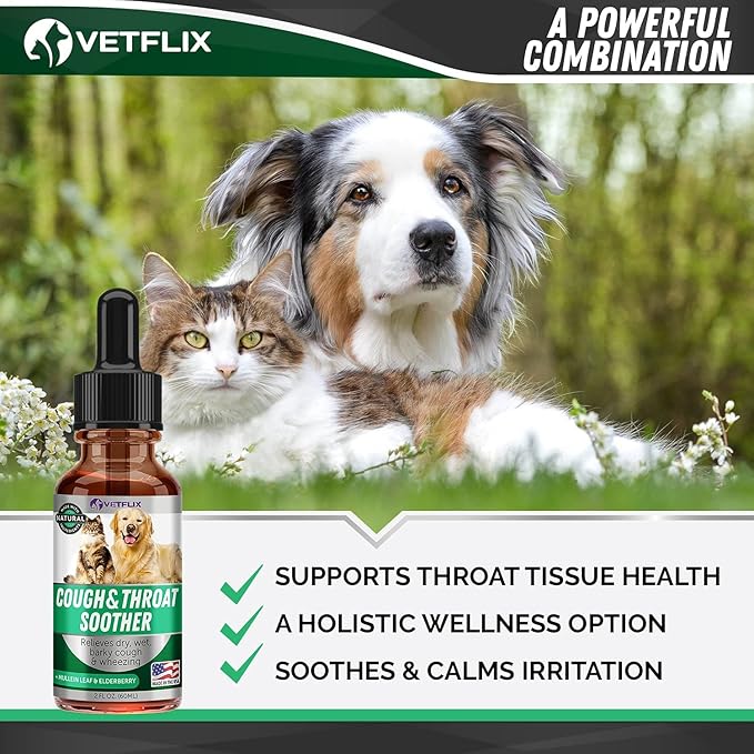 Kennel Cough Treatment for Dogs & Cats - Made in USA - Dog Allergy & Cat Asthma Relief - Mullen Leaf & Elderberry Blend - Dry, Wet & Barky Cough Relief for Dogs & Cats - All Breeds & Sizes - 2 Fl Oz-Mewly Pet
