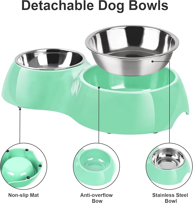 Elevated Dog Bowls Set - Non-Slip Raised Pet Feeder with Medium (2 Cups) & Large (4 Cups) Stainless Steel Bowls - Includes Durable Resin Stand for Puppies, Adult Dogs & Cats - Green-Mewly Pet