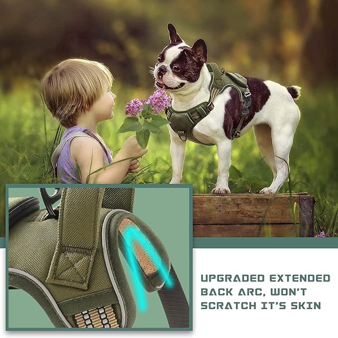 No Pull Dog Harness for Medium Dogs, Adjustable No Choke Pet Vest with Dog Leash Fit Smart Reflective Pet Walking Harness for Training Easy Control Soft Handle Green M-Mewly Pet