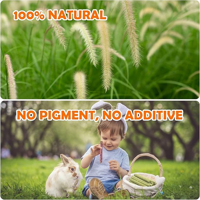 Sofier Timothy Hay Treats Rabbit Toys Bunny Toys Guinea Pig Hamster Natural Chews for Teeth Handmade Rabbit Chews and Treats Chinchilla Rat Gerbil-Mewly Pet