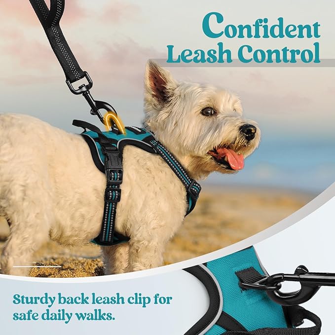 rabbitgoo Dog Harness No Pull with 2 Leash Clips, Adjustable Soft Padded, Reflective Oxford No Choke Pet Vest with Easy Control Handle for Puppy, Teal, XS-Mewly Pet