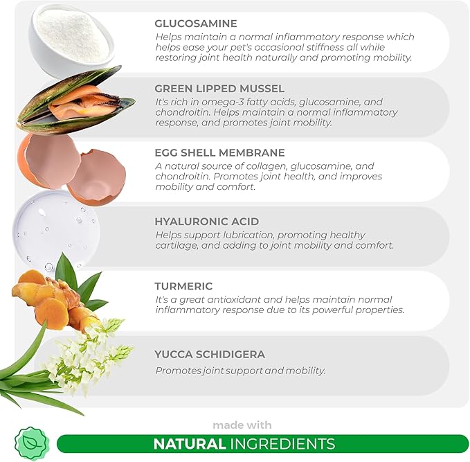 Hip and Joint Support for Dogs - Max Strength - 90 Soft Chews - with Green Lipped Mussel, Glucosamine, Turmeric, Fish Oil, MSM and Yucca Schidigera.-Mewly Pet