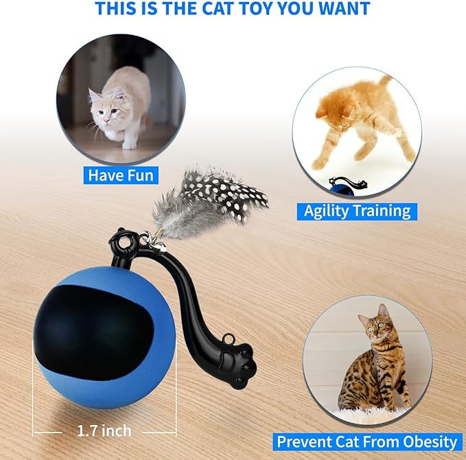 Interactive Cat Toy Ball with Remote Control, Automatic Moving & Rolling Cat Feather Toy, USB Rechargeable, Motion Activated Remote Control Cat Toy for Indoor Cats (Blue)-Mewly Pet