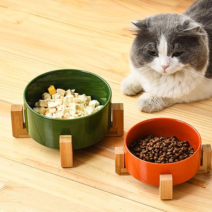 Petygooing Dog Bowls,Ceramic Cat Dog Bowl Set with Wood Stand for Food and Water,Non-Slip Cute Modern Pet Dish for Cats Small Size Dogs Puppy (13.5OZ/5.1 in) Rust Red-Mewly Pet