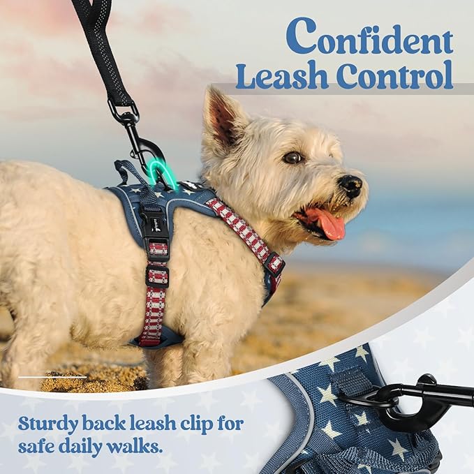 rabbitgoo Dog Harness No Pull with 2 Leash Clips, Adjustable Soft Padded, Reflective Oxford No Choke Pet Vest with Easy Control Handle for Large Dogs, Blue Star, XS-Mewly Pet