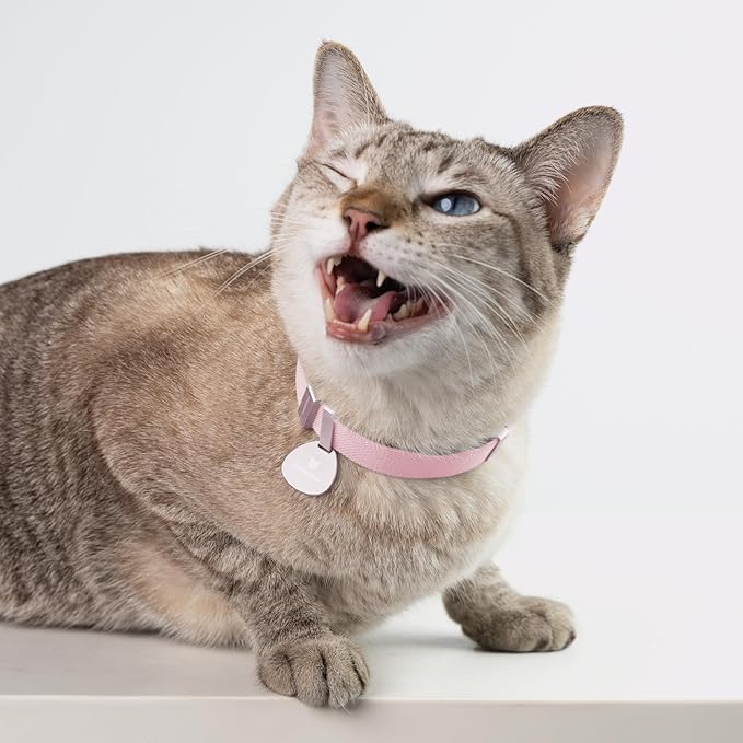 Safety Cat Collar Pro, Lightweight Elastic Release Non Breakaway Cat Collar Adjustable with Snap Fastener for Kitten All Small Large Cats, US IDA Gold Award (Olive, M 7.9-15.7")-Mewly Pet