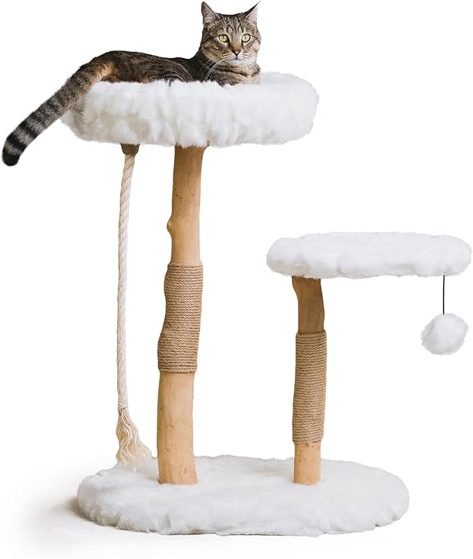 Mau Lifestyle Luxury Cat Tree: Modern Cat Condo & Luxury Wood Cat Tower; Natural Branch Scratching Tree & Cat Condo; Cat Gifts by Mau-Mewly Pet