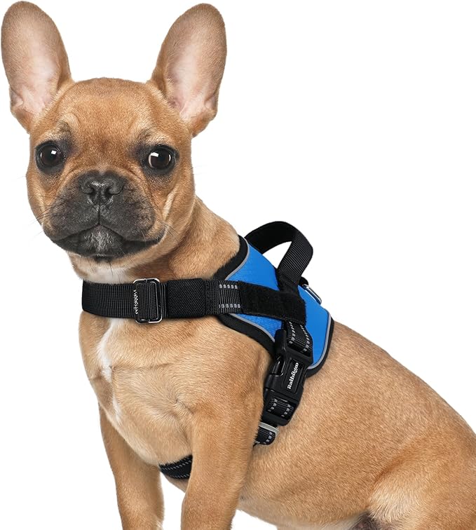 rabbitgoo Dog Harness for Small, Easy On Pet Vest with One Buckle, No Pull Adjustable Service Harness with D-Ring & Handle, Reflective for Safety Walking, Training, Blue, S-Mewly Pet