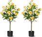 Artificial Camellia Tree 2 Pack, Artificial Plants Outdoor Faux Floral Plant in Cement Pot Fake Silk Camellia Tree Plants for Home House Living Room Office Decor