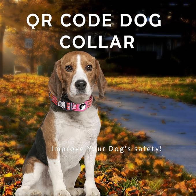 Reflective Dog Collar with Apple AirTag Holder & QR Code Pet ID Tag,Soft Nylon Adjustable Dog Tracker Collar with Safety Lock for Medium Dogs (Rose Red, M)-Mewly Pet