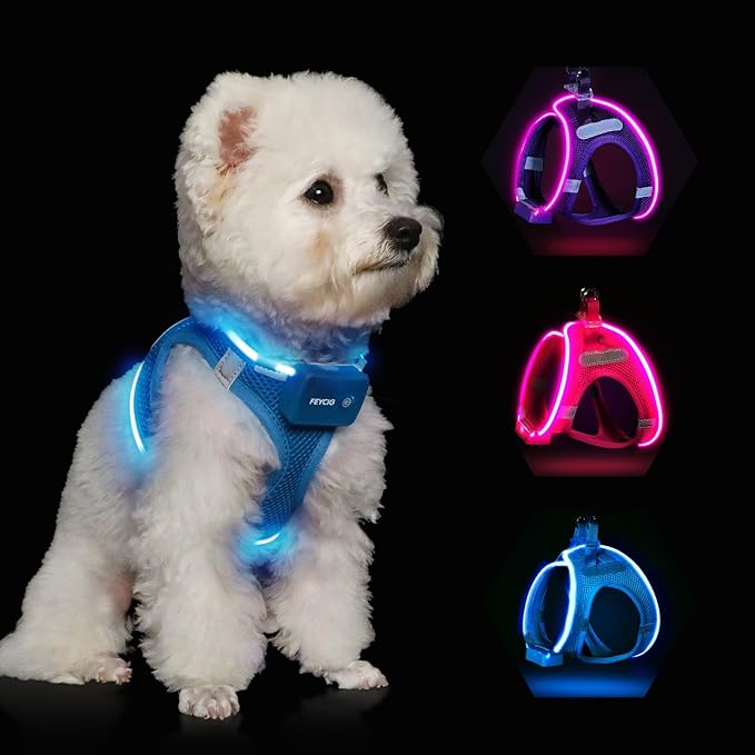 Light Up Dog Harness,Rechargeable LED Dog Harness for Small Medium Large Dogs,Reflective Lighted Safety Vest for Night Walking & Camping,Lightweight & Adjustable,Blue,XS-Mewly Pet