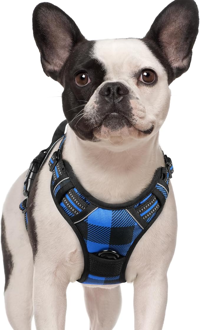 rabbitgoo Dog Harness No-Pull, Comfortable Padded Plaid Harness with Handle Easy Control, Adjustable Reflective Pet Vest with 2 Leash Clips for Small Dog, Blue Plaid, S-Mewly Pet