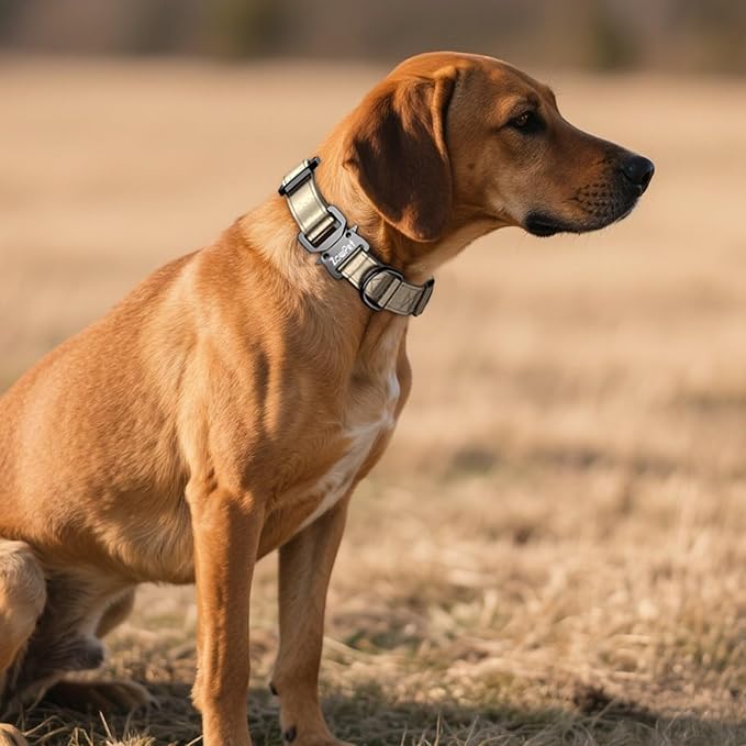 Airtag Dog Collar - Leather Dog Collar with Airtag Holder| IP68 Waterproof AirTag Holder with Metal Buckle, Comfortable GPS Dog Collars Tracker for Medium Large Dogs (Champagne Gold, L)-Mewly Pet