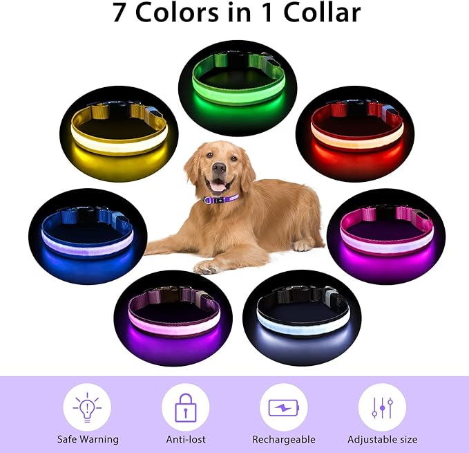PcEoTllar Light up Dog Collar for Night Walking - LED Dog Collar Light Rechargeable Color Changing, Glow in The Dark Dog Collars Waterproof Glowing Dog Collars for Large Small Medium Dogs-Mewly Pet