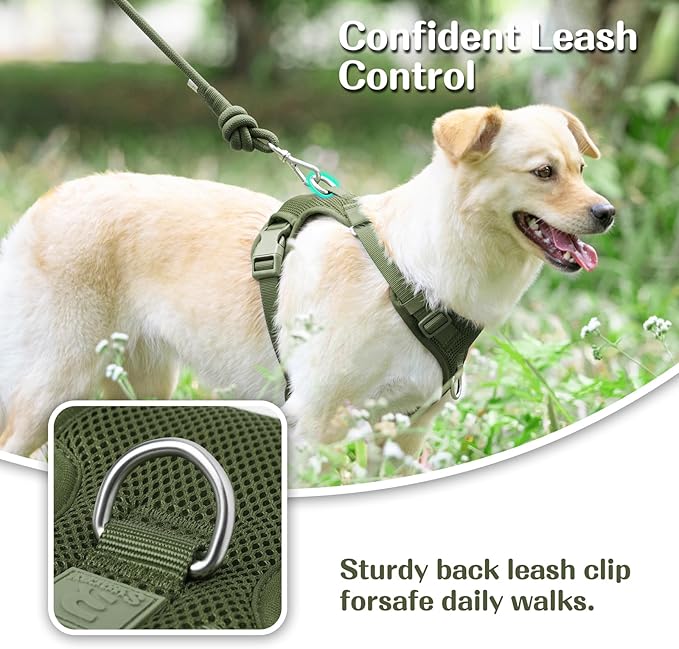 No Pull Dog Harness for Small Medium Large Dogs - Adjustable Two-Layer Mesh Dog Vest with Dual Clip, Escape Proof, Quick Release, Lightweight Breathable Mesh for Walking Hiking (Misty Green,L)-Mewly Pet