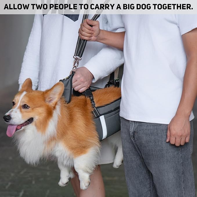 COODEO Mobility Dog Lift Harness, Emergency Carry Sling, Pet Rear Leg Support Rehabilitation Lifts Vest, Dog Carrier for Senior Dogs Joint Injuries, Arthritis (Military Green, M)-Mewly Pet