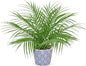 Hollyone Large Artificial Potted Plants Fake Palm Plants 16" Faux Green Plant Plastic Tropical Palm Tree in Blue and White Ceramic Pots Bohemian for Home Room Office House Indoor Decoration