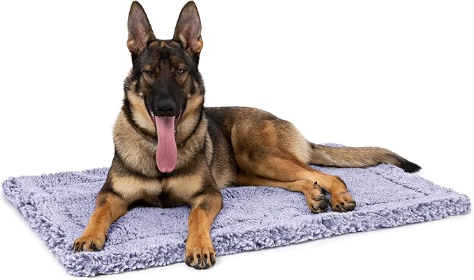 Stoutwool Indestructible Dog Bed - Fluffy Chew Proof Dog Crate Pad - Tough Kennel Pad for Aggressive Chewers - Ideal for Extra Large Breeds & Fits 48-Inch Crate - 47"x29", Jacaranda-Mewly Pet