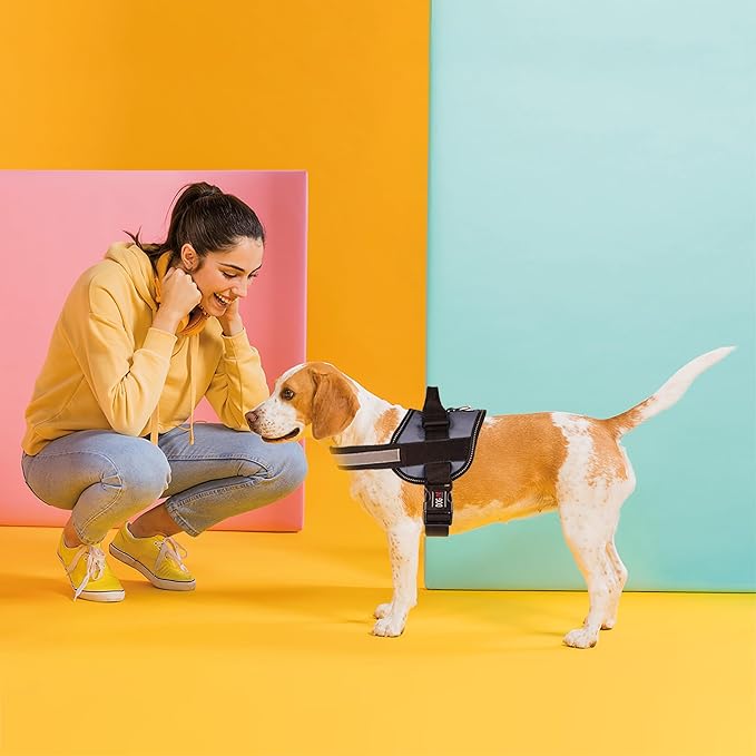 Dogline Dog Harness, Reflective No-Pull Adjustable Vest with Handle for Walking, Training, Service Breathable No - Choke Harness for Small, Medium or Large Dogs Room for Patches Grey S 18"-24"-Mewly Pet