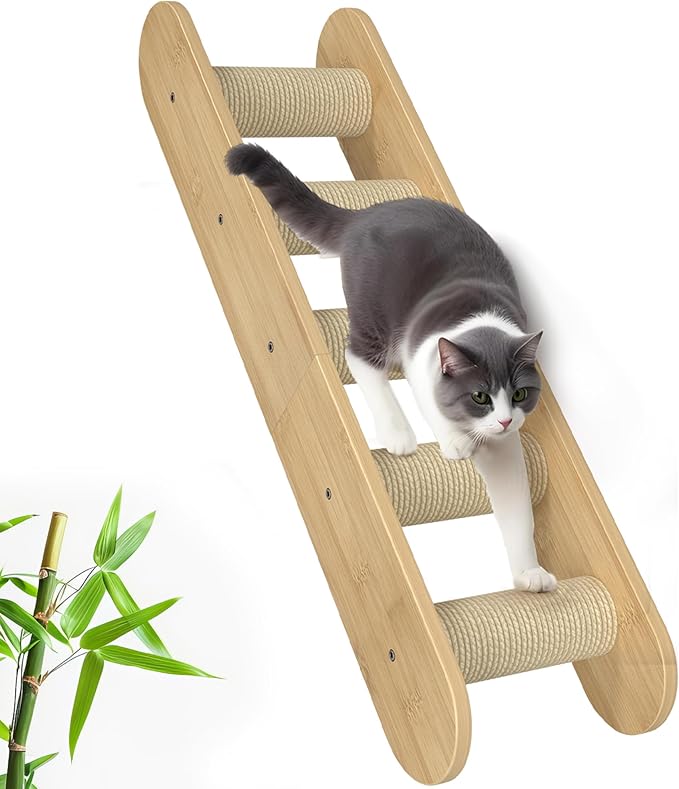Wall-Mounted Cat Furniture for Climbing - Indoor Wooden Floating Shelves, Perches, Hammock, Bed, Bridges, and Walkways-Mewly Pet