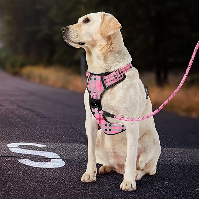 IVY&LANE No Pull Dog Harness with Leash Set, Reflective No Choke Pet Vest,Adjustable Oxford Dog Vest Harness with Easy Control Handle for Small Dogs (Checkered Pink,S)-Mewly Pet