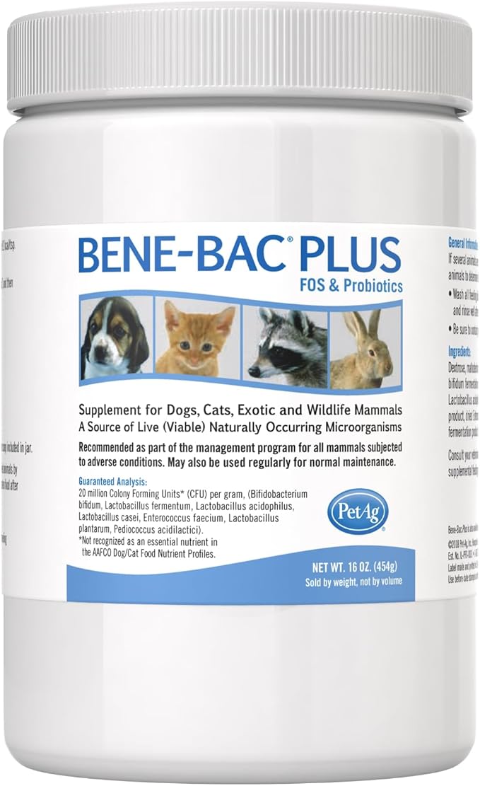 PetAg Bene-Bac Plus - 1 lb Powder - FOS & Probiotics for Dogs, Cats, Exotic & Wildlife Mammals-Mewly Pet